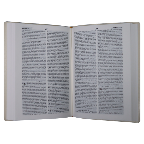 Biblia Reina Valera 1960 Chica Letra Mediana Vinil Rosa [RVR042e] 