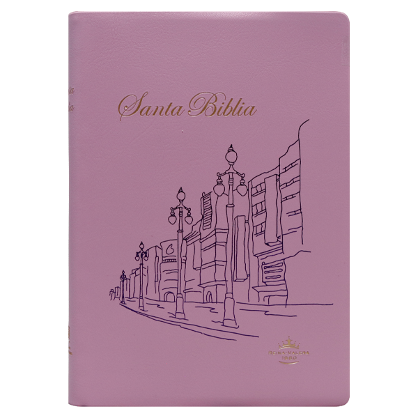 Biblia Reina Valera 1960 Chica Letra Mediana Vinil Rosa [RVR042e] 
