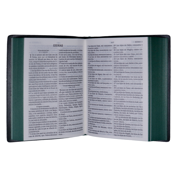 Biblia Reina Valera 1960 Tamaño Bolsillo Letra Mediana Vinil Verde [RVR022c String] 