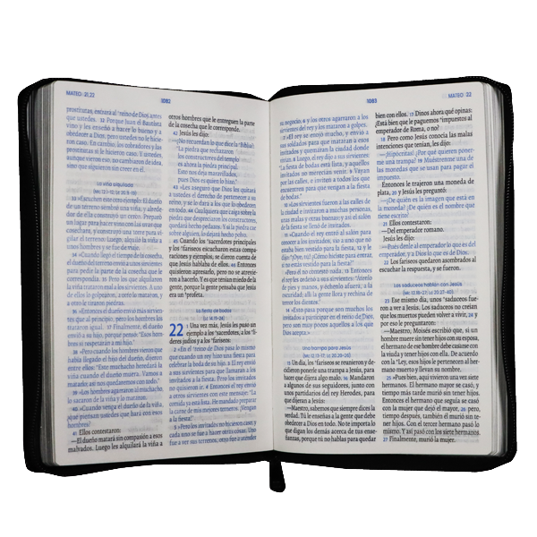 Biblia Vive la Palabra Traducción Lenguaje Actual Mediana Letra Grande Imitación Piel Negro [TLA66LGZTPJR] 