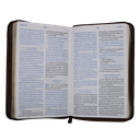 Biblia Vive la Palabra Traducción Lenguaje Actual Mediana Letra Grande Imitación Piel Marrón/Café [TLA.66LGZT] 