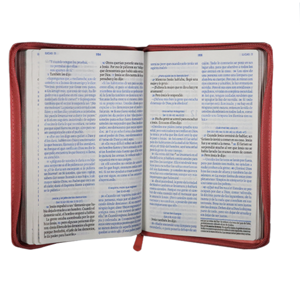 Biblia El Camino La Verdad y La Vida Traducción Lenguaje Actual Mediana Letra Grande Imitación Piel Rosa Código QR [TLA066LGZPJR] 