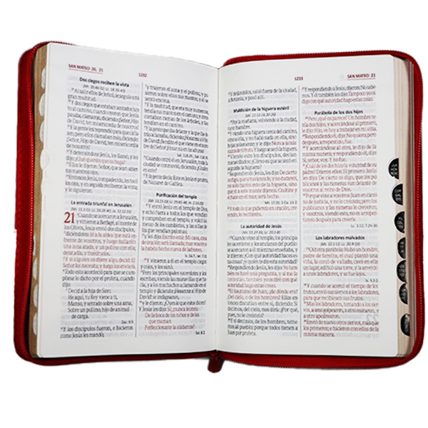 Biblia Reina Valera 1960 Mediana Letra Grande Imitación Piel Beige/Rojo Código QR [RVR066cLGZTIPJR] 