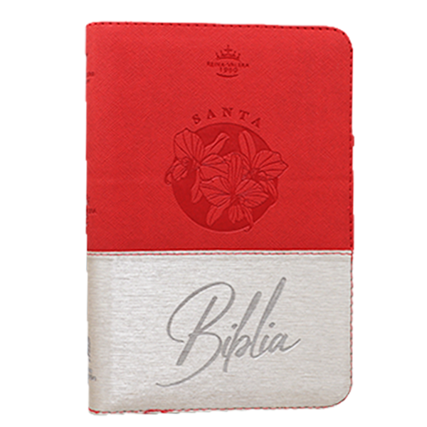 Biblia Reina Valera 1960 Mediana Letra Grande Imitación Piel Beige/Rojo Código QR [RVR066cLGZTIPJR] 