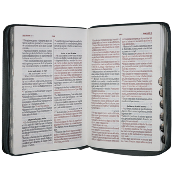 Biblia Reina Valera 1960 Mediana Letra Grande Imitación Piel Gris/Negro Código QR [RVR066cLGZTIPJR] 