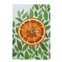 Biblia Reina Valera 1960 Mediana Letra Grande Tapa Dura Colores RVR063cLGPJR-FES Frutos del Espíritu 