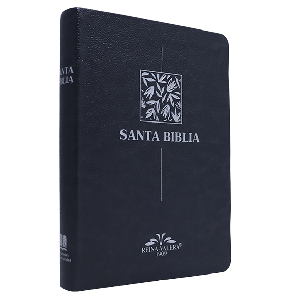 Biblia Reina Valera 1909 Mediana Letra Chica Imitación Piel Gris VR055 SS 