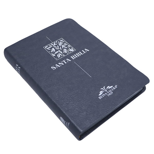 Biblia Reina Valera 1909 Mediana Letra Chica Imitación Piel Gris VR055 SS 