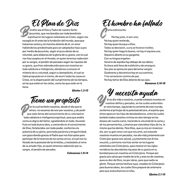 Paquete de Folletos El Plan de Dios Para Ti Reina Valera 1960 - Mar (100 Piezas) 