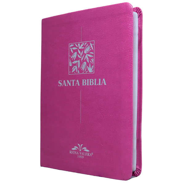 Biblia Reina Valera 1909 Mediana Letra Chica Imitación Piel Púrpura VR055 SS 