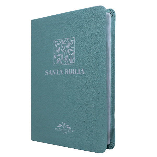 Biblia Reina Valera 1909 Mediana Letra Chica Imitación Piel Menta VR055 SS 