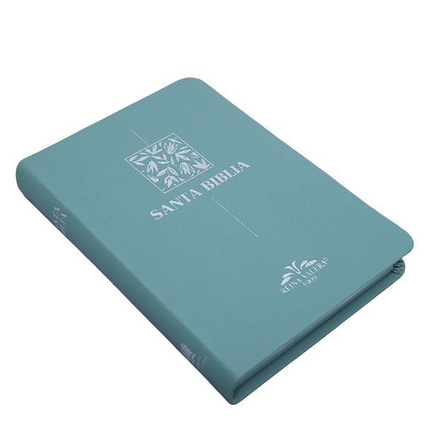 Biblia Reina Valera 1909 Mediana Letra Chica Imitación Piel Menta VR055 SS 
