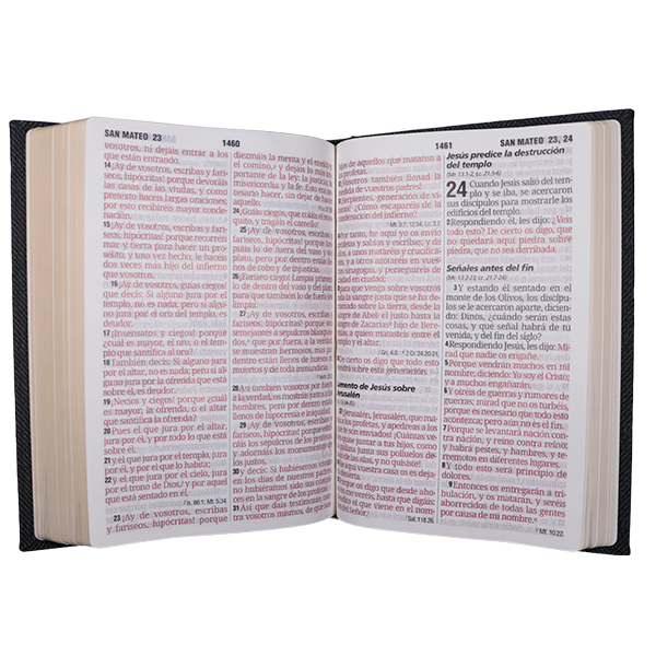 Biblia Reina Valera 1960 Grande Letra Gigante Tapa Dura Gris RVR083cLGiPJR MN 