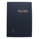 Biblia Reina Valera 1960 Grande Letra Gigante Tapa Dura Gris RVR083cLGiPJR MN 