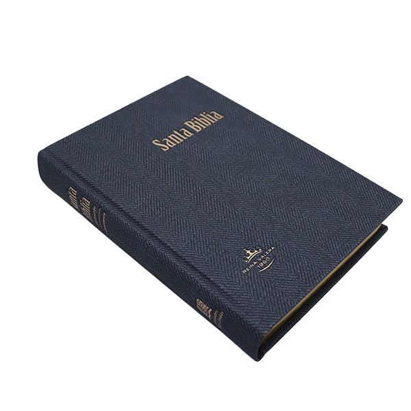 Biblia Reina Valera 1960 Grande Letra Gigante Tapa Dura Gris RVR083cLGiPJR MN 