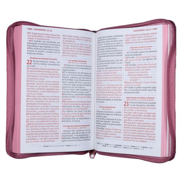 Biblia Reina Valera 1960 Mediana Letra Grande Imitación Piel Rosa Cierre PJR Código QR [RVR065cZLGPJR] 