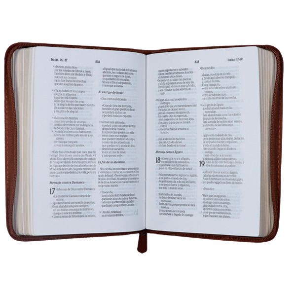 Biblia Traducción Lenguaje Actual Chica Letra Chica Imitación Piel Café Cierre [TLA.46ZLM] 