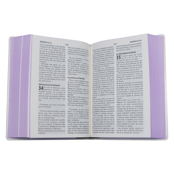 Biblia Traducción Lenguaje Actual Chica Letra Grande 8 pts Vinil Canto Morado TLA042LG Flourish 