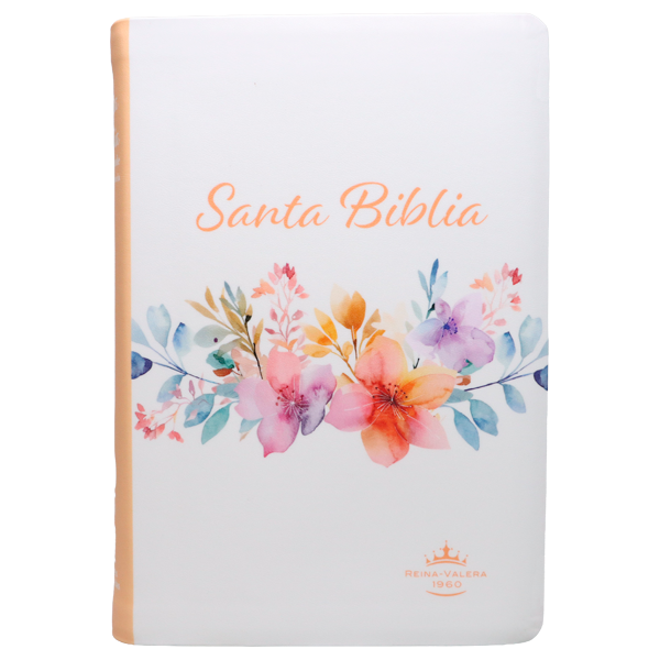 Biblia Reina Valera 1960 Mediana Letra Gigante 14 pts Imitación Piel PU RVR065cLGiPJR Amaranth 
