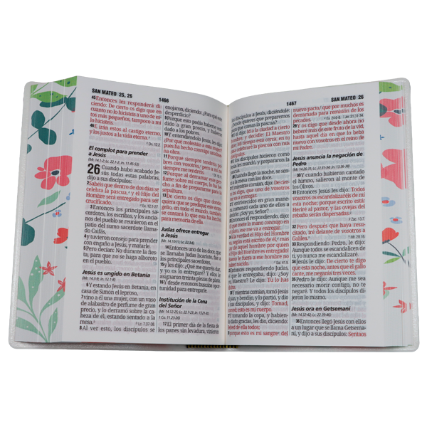 Biblia Reina Valera 1960 Chica Letra Grande 11 pts Vinil RVR042cPJR Flora 