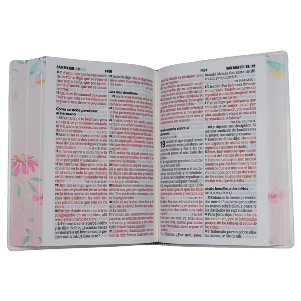 Biblia Reina Valera 1960 Chica Letra Grande 11 pts Vinil RVR042cPJR Lustre 
