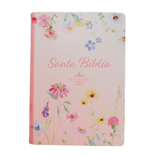 Biblia Reina Valera 1960 Chica Letra Grande 11 pts Vinil RVR042cPJR Lustre 