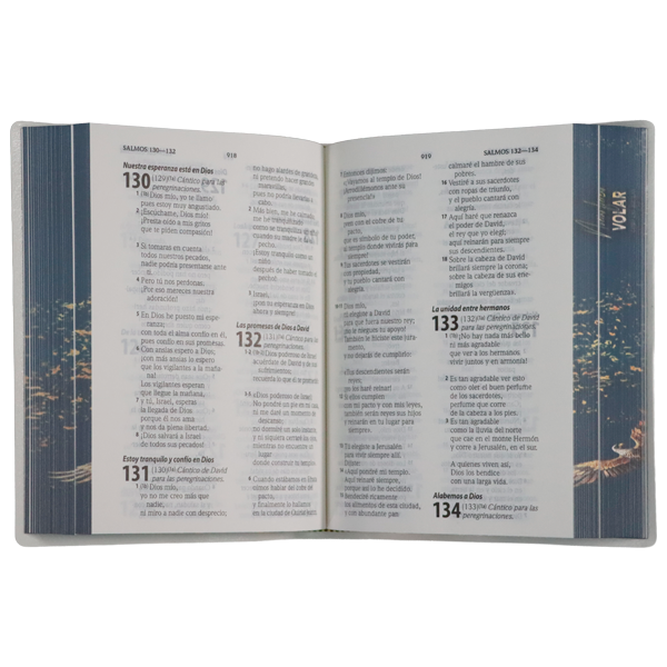 Biblia Traducción Lenguaje Actual Chica Letra Grande 8 pts Vinil  TLA042LG Volar 