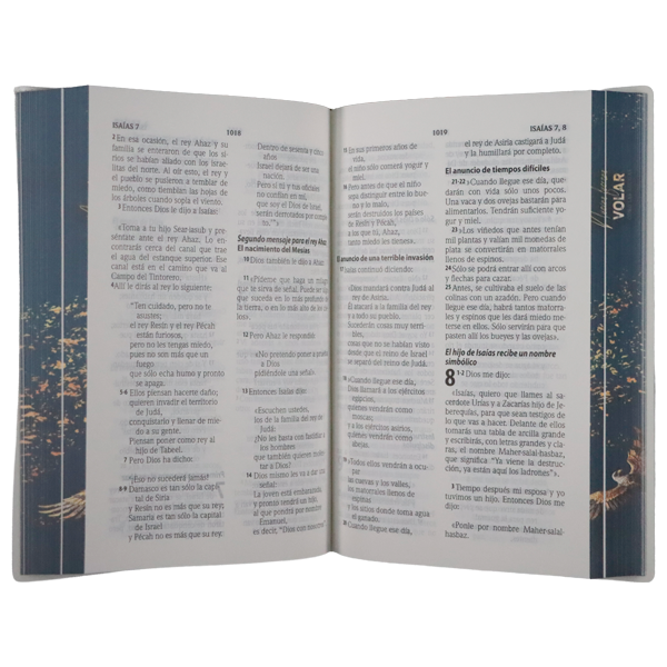 Biblia Traducción Lenguaje Actual Mediana Letra Grande 11 pts Vinil   TLA062LG Volar 