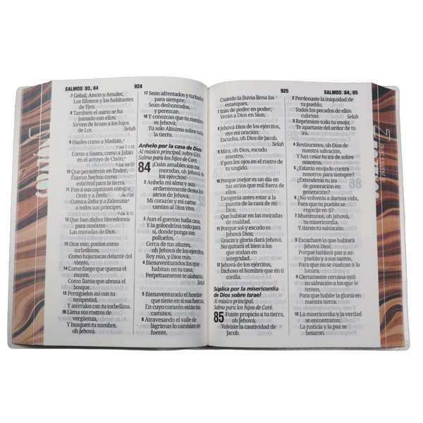 Biblia Reina Valera 1960 Mediana Letra Gigante 14 pts Vinil  RVR062cLGiPJR Corazón