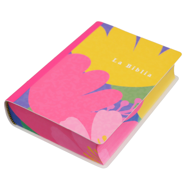 Biblia Traducción Lenguaje Actual Mediana Letra Grande 11 pts Vinil   TLA062LG Lycoris 