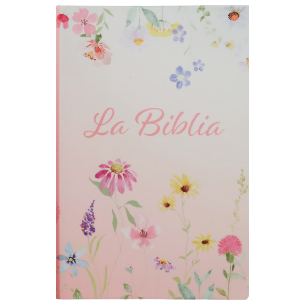 Biblia Traducción Lenguaje Actual Mediana Letra Grande 11 pts Vinil   TLA062LG Lustre 