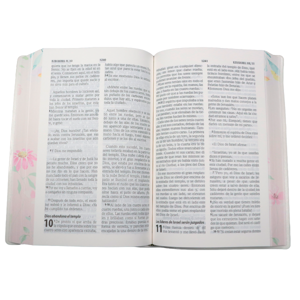 Biblia Traducción Lenguaje Actual Mediana Letra Grande 11 pts Vinil   TLA062LG Lustre 