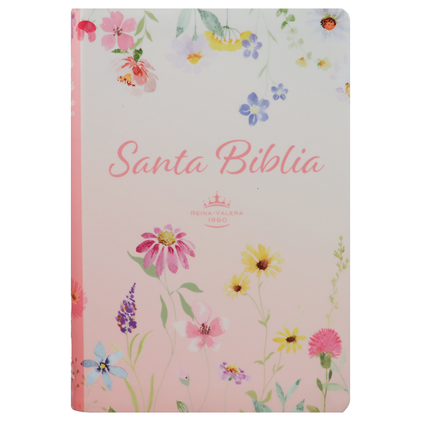 Biblia Reina Valera 1960 Mediana Letra Gigante 14 pts Imitación Piel PU  RVR065cLGiPJR Lustre 