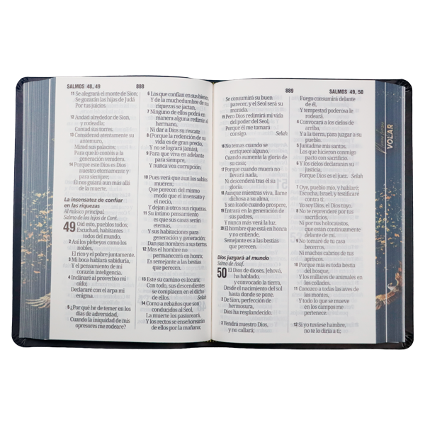 Biblia Reina Valera 1960 Mediana Letra Gigante 14 pts Imitación Piel PU  RVR065cLGiPJR Volar 