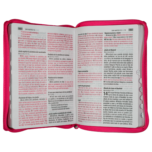 Biblia Reina Valera 1960 Mediana Letra Grande Covertex Rosa [RVR.65cLGPJRTIZ-GPR]