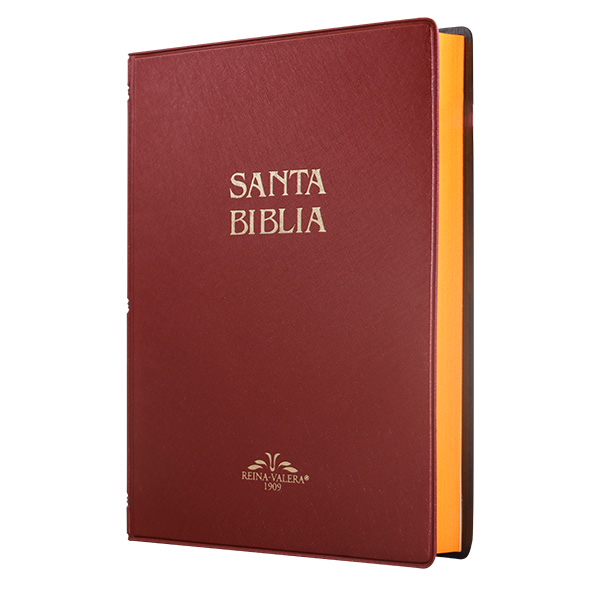 Biblia Reina Valera 1909 Mediana Letra Mediana Vinil Vino [VR052]