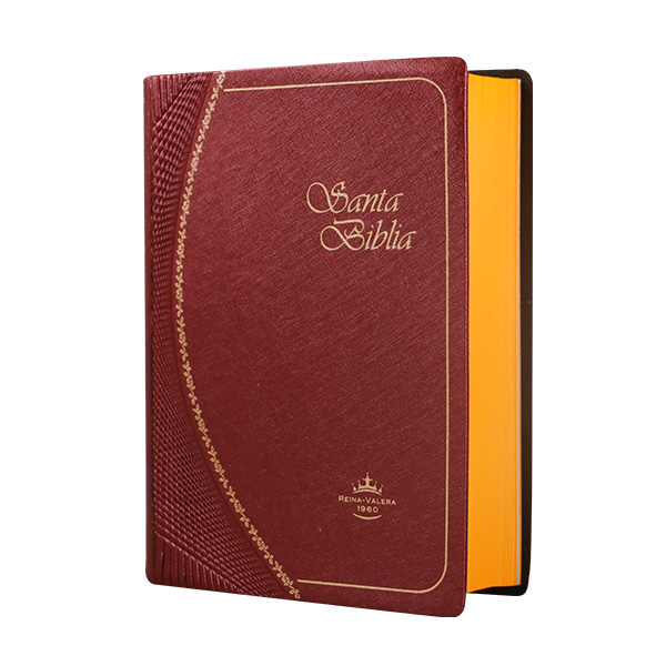 Biblia Reina Valera 1960 Tamaño Bolsillo Letra Chica Vinil Vino Ocean [RVR022c]
