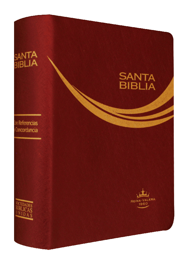 Biblia Reina Valera 1960 Tamaño Bolsillo Letra Chica Vinil Vino String [RVR022c]