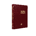 Biblia Misionera Reina Valera 1960 Chica Letra Chica Tapa Dura Vino [RVR043c]