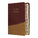 Biblia Reina Valera 1960 Chica Letra Mediana Imitación Piel Mostaza Naranja [RVR045cTI]