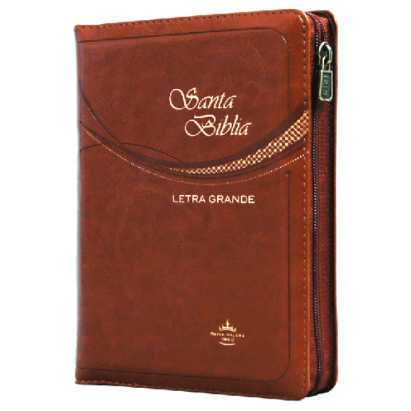 Biblia Reina Valera 1960 Chica Letra Mediana Imitación Piel Café [RVR045cZLG]