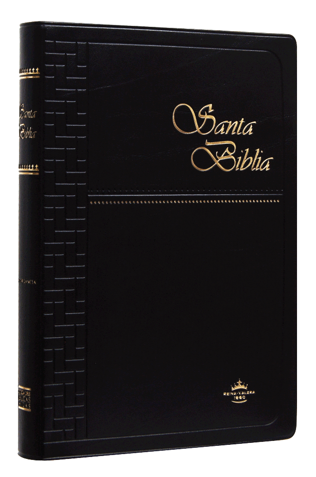 Biblia Reina Valera 1960 Mediana Letra Mediana Vinil Negro [RVR062c]