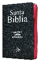 Biblia Reina Valera 1960 Mediana Letra Grande Mezclilla Rosa [RVR064CLGPJRZTIA]
