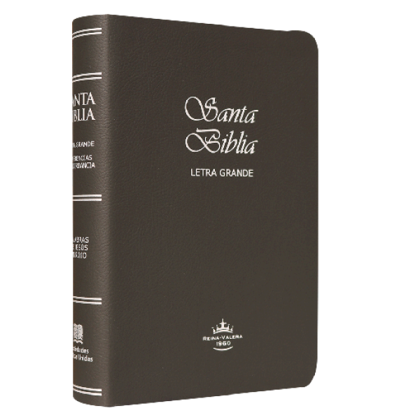 Biblia Reina Valera 1960 Mediana Letra Grande Imitación Piel [RVR065CLG]