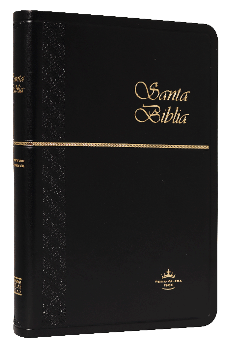 Biblia Reina Valera 1960 Mediana Letra Mediana Imitación Piel Negro Ultrafina [RVR065cX]