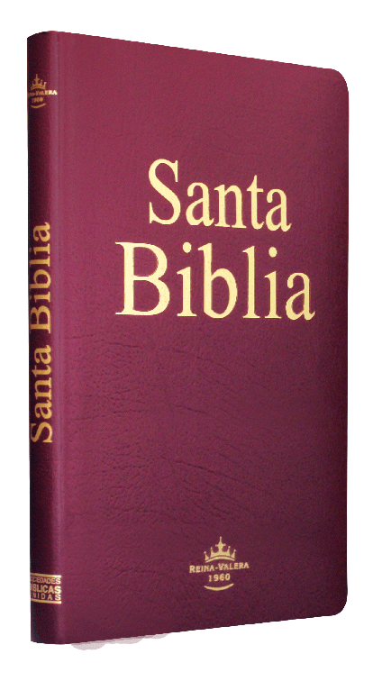 Biblia Reina Valera 1960 Mediana Letra Mediana Imitación Piel Vino Ultrafina [RVR065e]