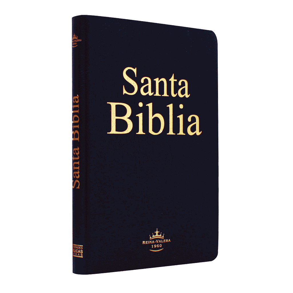 Biblia Reina Valera 1960 Mediana Letra Mediana Imitación Piel Negro Ultrafina [RVR065e]