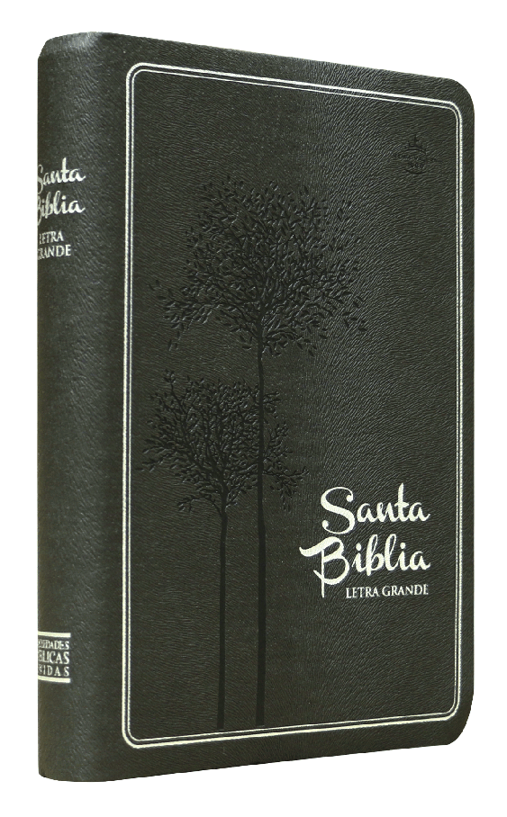 Biblia Reina Valera 1960 Mediana Letra Grande Imitación Piel Gris [RVR065LGTR]