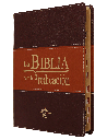 [7899938408551] Biblia de Estudio Predicación Reina Valera 1960 Grande Letra Grande Imitación Piel Marrón [RVR086LGEETI]