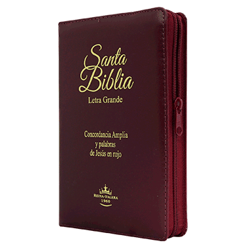 Biblia Reina Valera 1960 Mediana Letra Grande Imitación Piel Color Vino [RVR055CLGPJRZTIa]